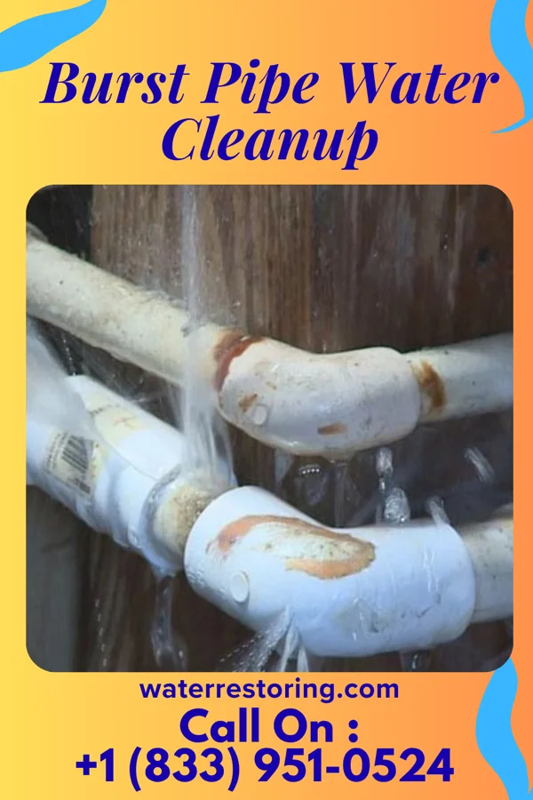 Burst Pipe Water Cleanup in Highland Heights, OH