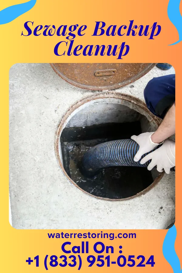 Sewage Backup Cleanup in Highland Heights, OH